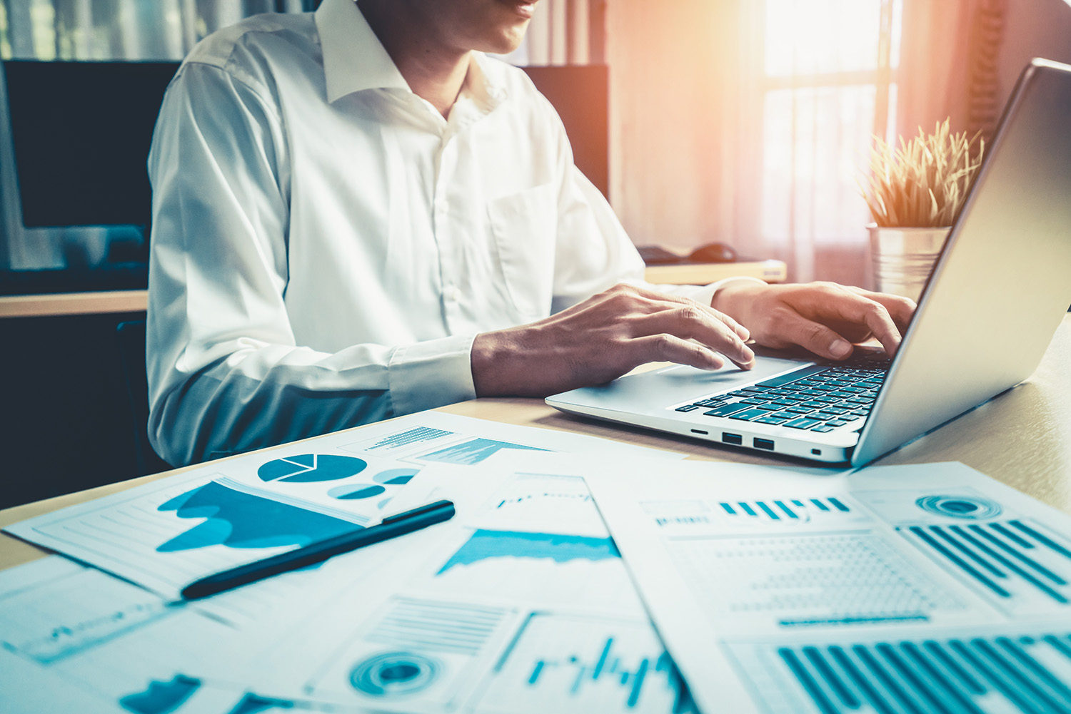 raport profi competence